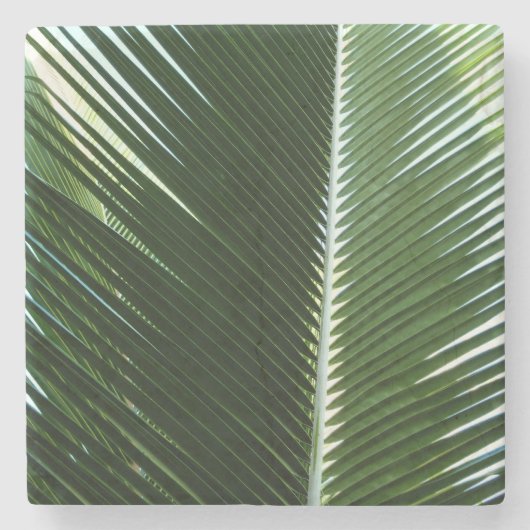 Overlapping Palm Fronds Tropical Green Abstract Stenen Onderzetter (Voorkant)