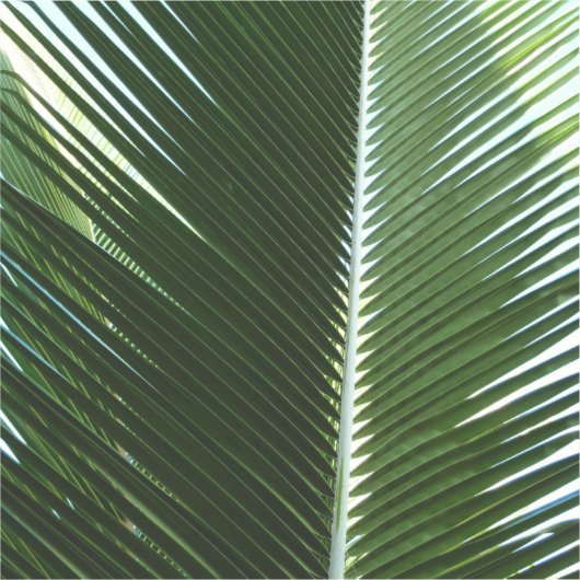 Overlapping Palm Fronds Tropical Green Abstract Sticker (Voorkant)
