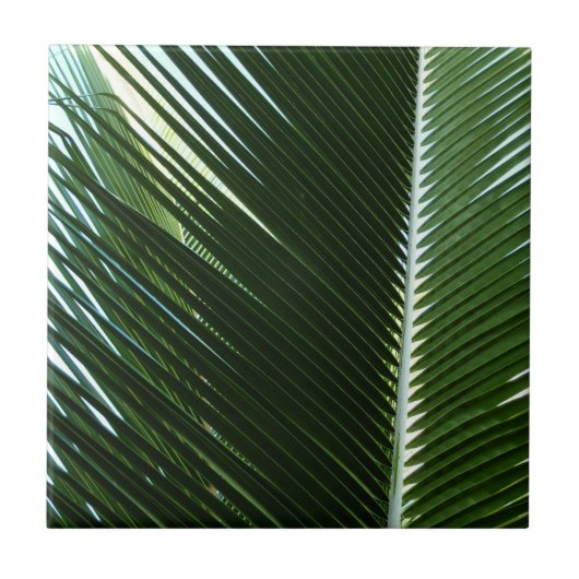 Overlapping Palm Fronds Tropical Green Abstract Tegeltje (Voorkant)