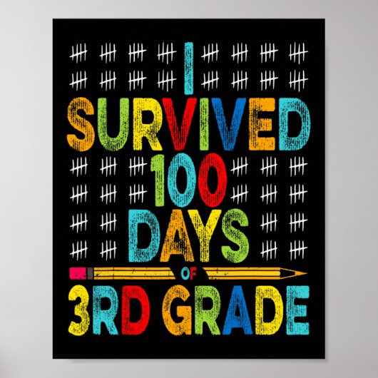 Overleefde 100 dagen van de 3e klas 100e dag van s poster (Voorkant)