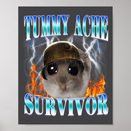 Overlevende Hamster Meme Grappige Spreuk Hams Poster (Voorkant)