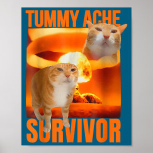 Overlevende kat met buikpijn meme grappige spreuk poster