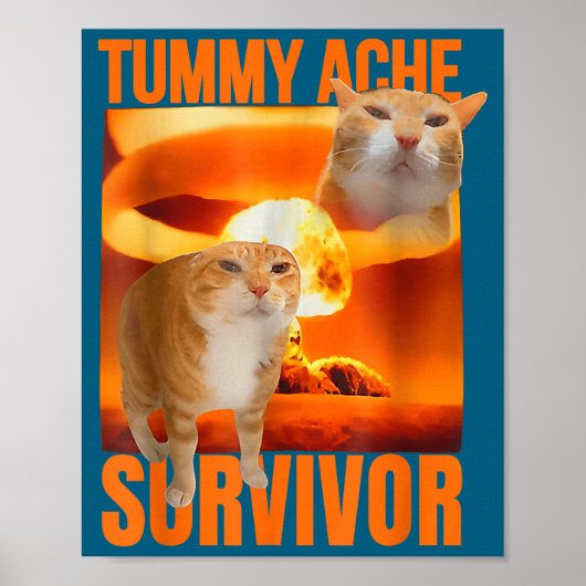 Overlevende kat met buikpijn meme grappige spreuk poster (Voorkant)