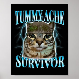 Overlevende kat met buikpijn meme grappige spreuk poster