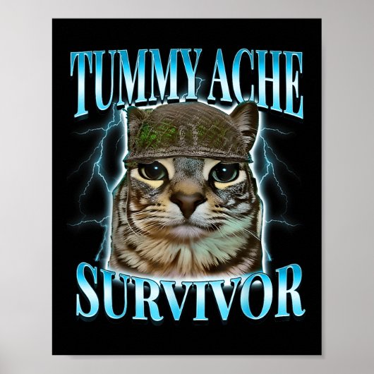 Overlevende kat met buikpijn meme grappige spreuk poster (Voorkant)