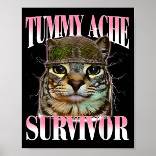 Overlevende kat met buikpijn meme grappige spreuk poster