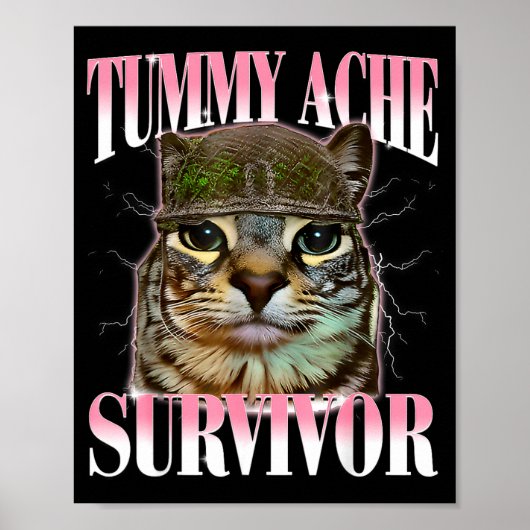 Overlevende kat met buikpijn meme grappige spreuk poster (Voorkant)