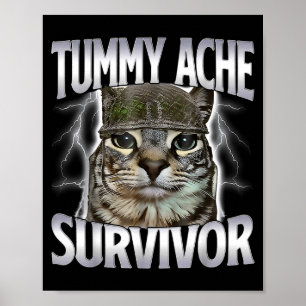 Overlevende kat met buikpijn meme grappige spreuk  poster