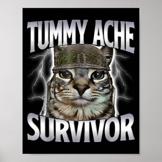 Overlevende kat met buikpijn meme grappige spreuk poster (Voorkant)