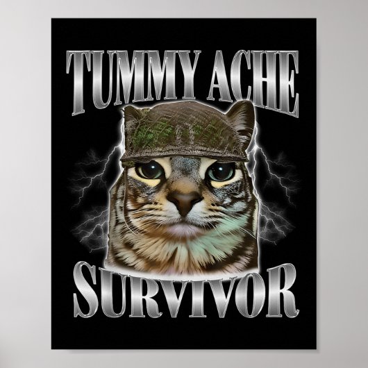 Overlevende van buikpijn Funny kat meme sarcastisc Poster (Voorkant)