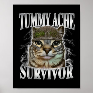 Overlevende van buikpijn Funny kattenmeme Poster