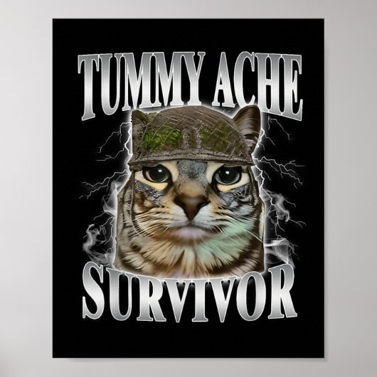 Overlevende van buikpijn Funny kattenmeme Poster (Voorkant)