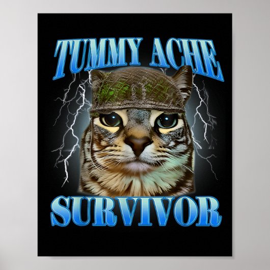 Overlevende van buikpijn Grappige kattenmeme Grapp Poster (Voorkant)