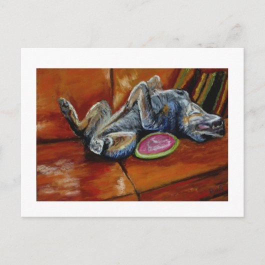 overlevering aan de frisbee briefkaart (Voorkant)