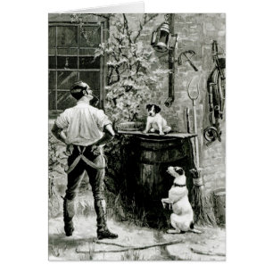 Overleving van de Fittest