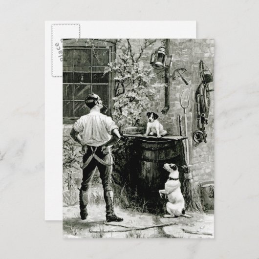 Overleving van de Fittest Briefkaart (Voorkant / Achterkant)