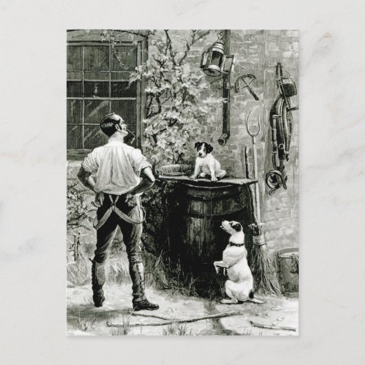 Overleving van de Fittest Briefkaart (Voorkant)