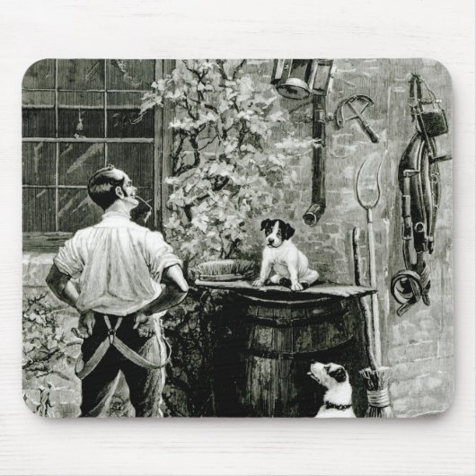 Overleving van de Fittest Muismat (Voorkant)