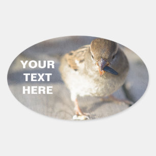 Overleving van de fittest ovale sticker