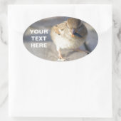 Overleving van de fittest ovale sticker (Tas)