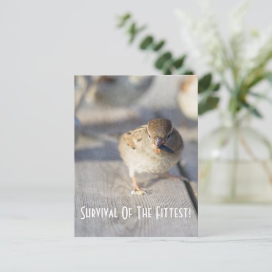 Overleving van het Briefkaart van de fitte (Staand voorkant)