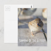 Overleving van het Briefkaart van de fitte (Voorkant / Achterkant)