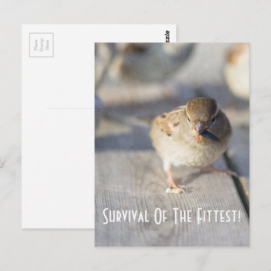 Overleving van het Briefkaart van de fitte (Voorkant / Achterkant)