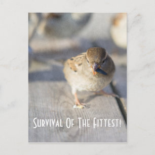 Overleving van het Briefkaart van de fitte