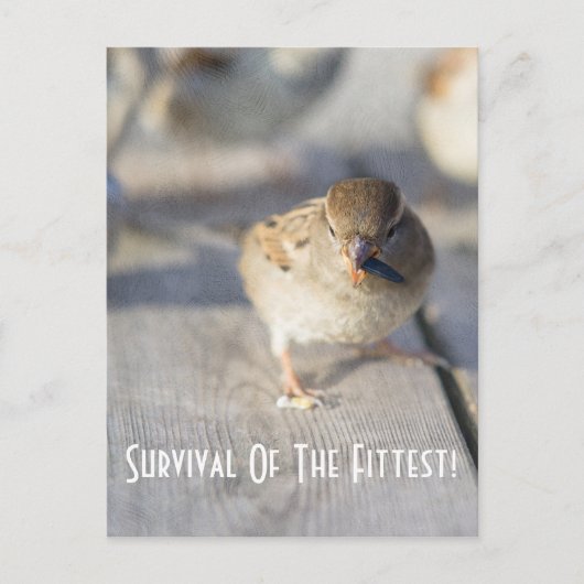 Overleving van het Briefkaart van de fitte (Voorkant)