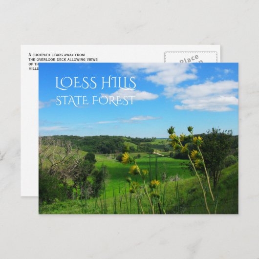 Overlook Path Uitzicht, Loess Hills State Forest, Briefkaart (Voorkant / Achterkant)