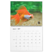 Overmaatse 2016-kalender voor vaste vis kalender (Mar 2027)
