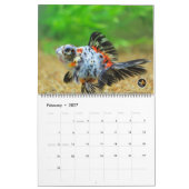 Overmaatse 2016-kalender voor vaste vis kalender (Feb 2027)