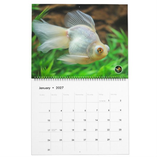 Overmaatse 2016-kalender voor vaste vis kalender (Jan 2027)