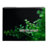 Overmaatse 2016-kalender voor vaste vis kalender (Hoes)