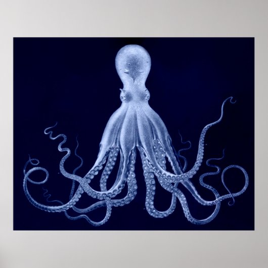 Overmaatse Octopus Triptych Afdrukken in blauw Poster (Voorkant)