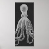 Overmaatse Octopus Triptych II Afdrukken in grijs Poster (Voorkant)