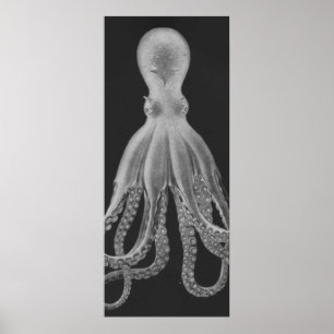 Overmaatse Octopus Triptych II Afdrukken in grijs Poster