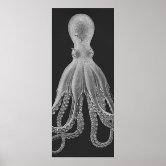 Overmaatse Octopus Triptych II Afdrukken in grijs Poster (Voorkant)