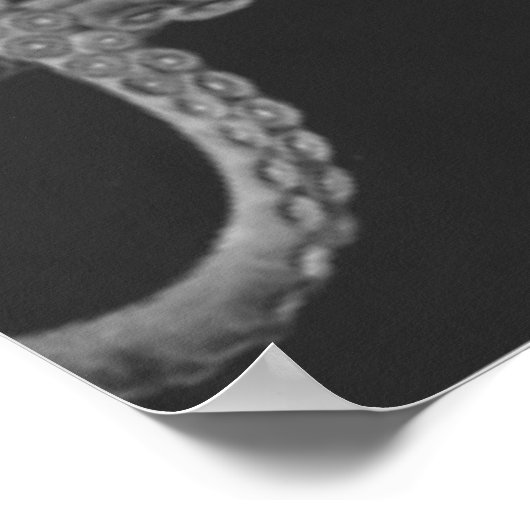 Overmaatse Octopus Triptych II Afdrukken in grijs Poster (Hoek)