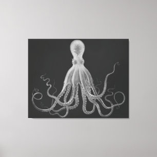 Overmaatse Octopus Triptych in grijs Canvas Afdruk