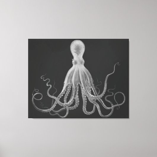 Overmaatse Octopus Triptych in grijs Canvas Afdruk (Voorkant)