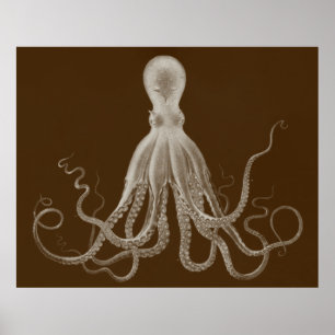 Overmaatse Octopus Triptych Print in Brown