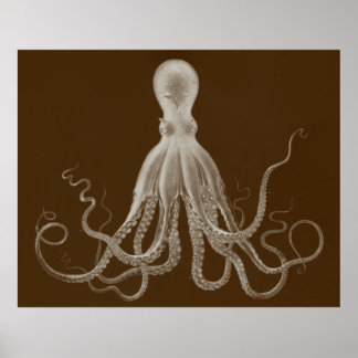 Overmaatse Octopus Triptych Print in Brown