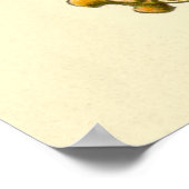 overmaatse octopusdruk Haeckel Poster (Hoek)