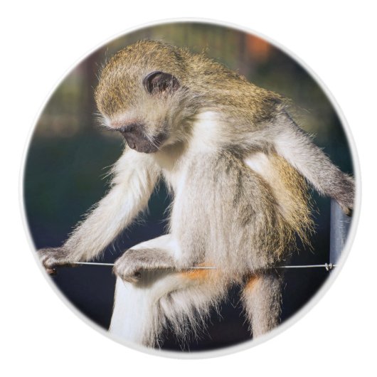 Overnemend aap keramische knop (Voorkant)