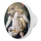 Overnemend aap keramische knop (Rechts)