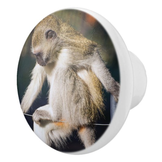 Overnemend aap keramische knop (Rechts)