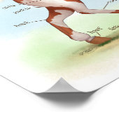 Overo Skewbald Horse Equestrian Anatomy Poster (Hoek)