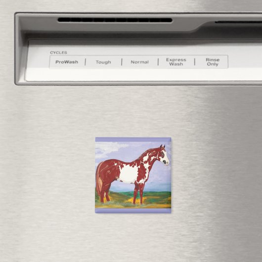 Overo verf hengst ~ paard magneet (Insitu (Vaatwasser))