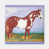 Overo verf hengst ~ paard magneet (Voorkant)